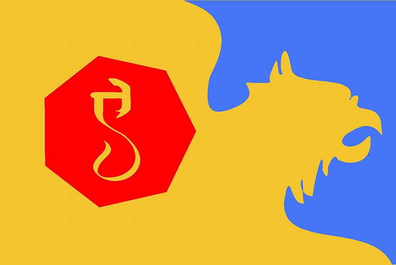 एकम सनातन भारत दल का ध्वज - Ekam Sanatan Bharat Dal Flag in hindi