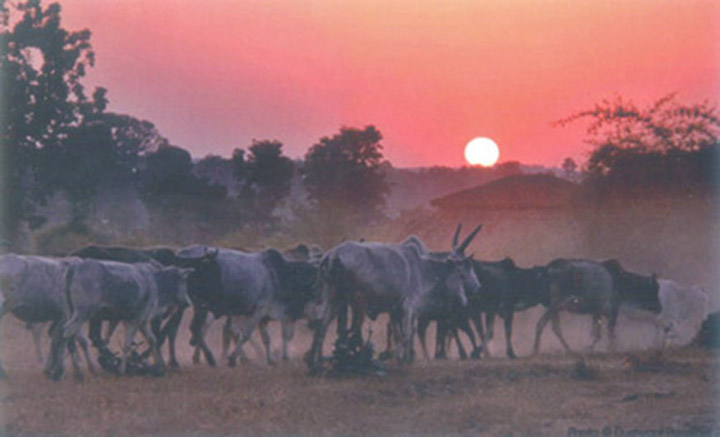 Godhuli-Bela-ka-Mahatv-aur-vigyaann