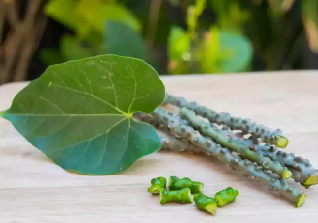 Nutrients and Benefits of Giloy in Corona