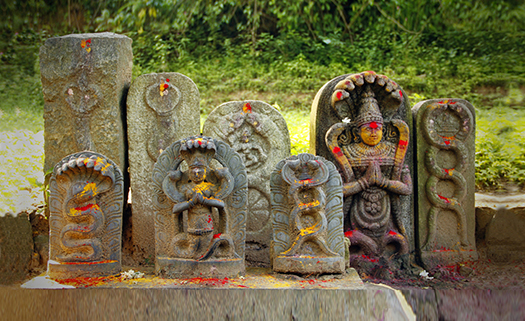 Nagaraja Vasuki Hindu_Deity India