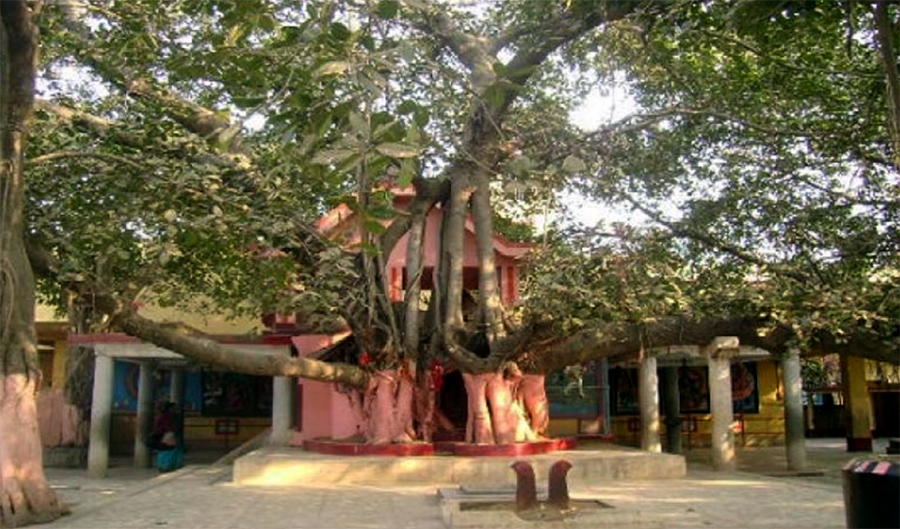 Nandikeshwari Shakti Peeth