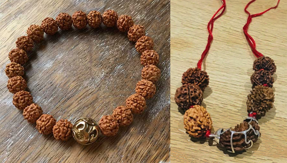 Science and importance of Rudraksha
