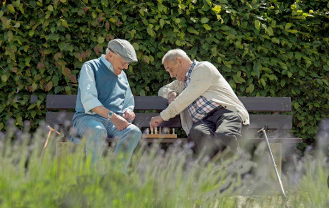 old friends are sitting in the park