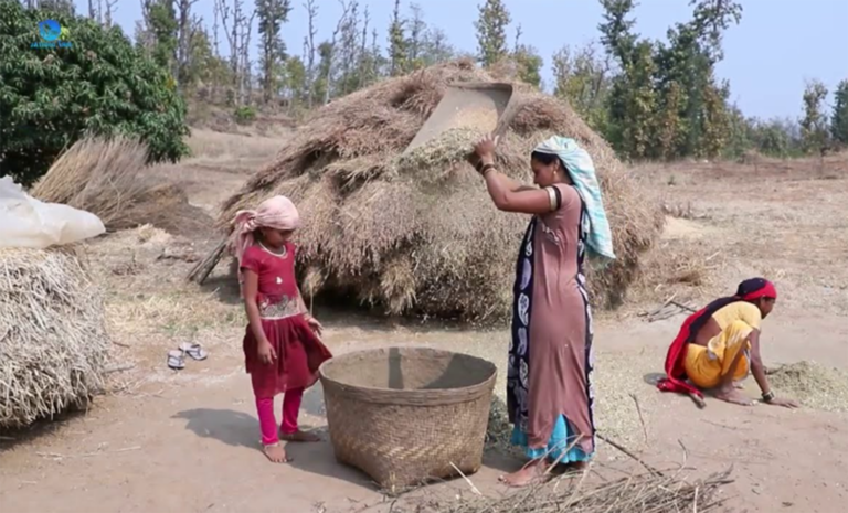 Natural lifestyle is very important to stay healthy