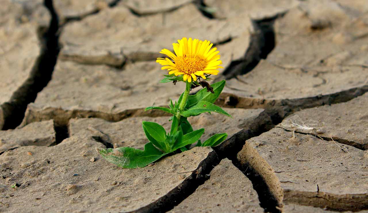 How to live a long life in hindi