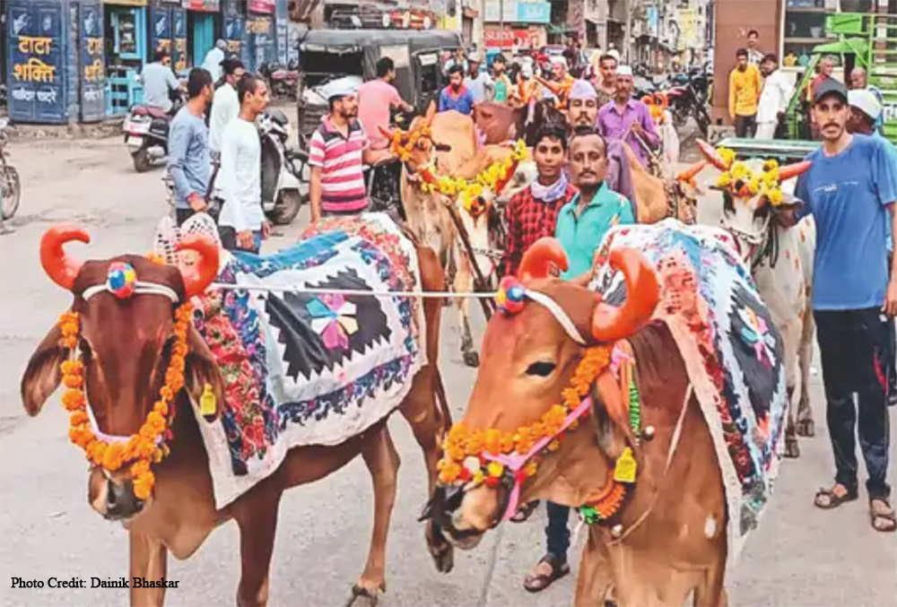 Pola Parv in Neemad MP