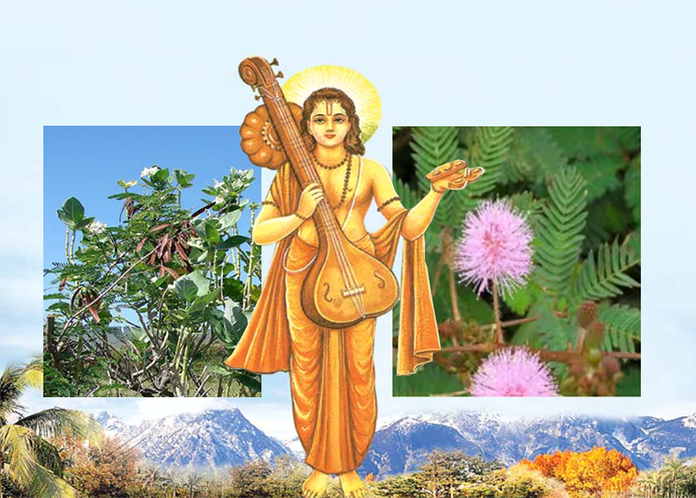 Shamee aur Mandaar ke ped banane kee |kahaanee | शमी और मन्दार के वृक्ष बनने की कथा