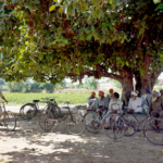 Villagers under a tree in India