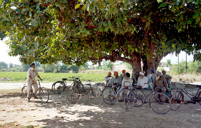 Villagers under a tree in India