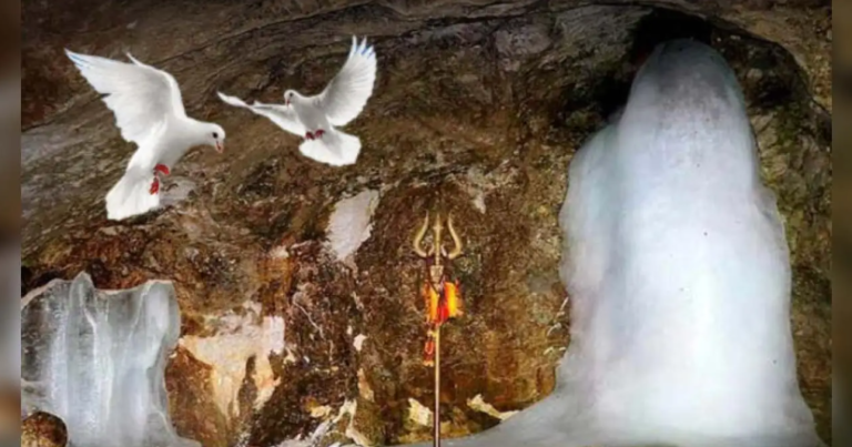 Amarnath Cave and Pigeon