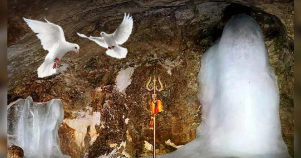 Amarnath Cave and Pigeon