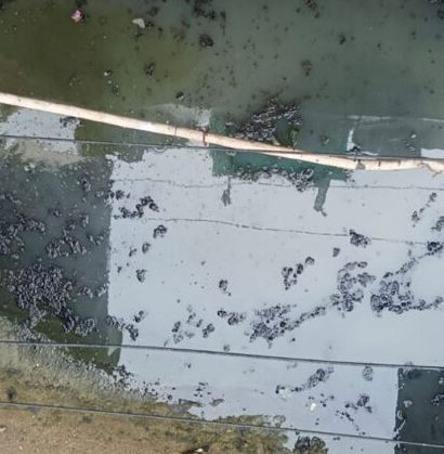 Mohan Gardren Sivir Jam