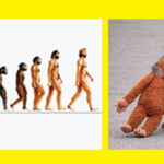 Men was not monkey