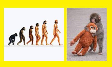Men was not monkey
