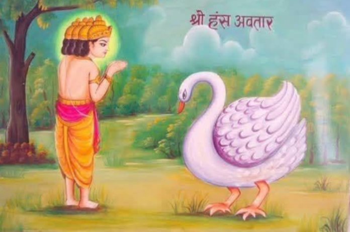Mystery of the Soul and the Hamsa Avatar
